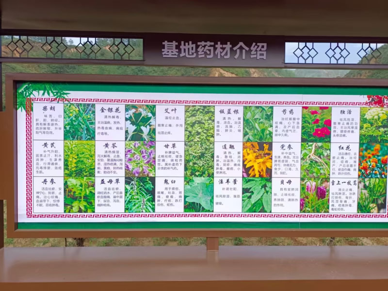 药材种植基地宣传栏制作安装